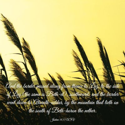 Picture 03 - Joshua 18:13 ASV - And the border passed along from thence to Luz, - Bible Verse Picture