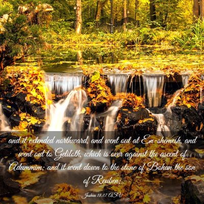 Picture 03 - Joshua 18:17 ASV - and it extended northward, and went out at - Bible Verse Picture