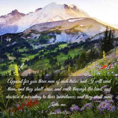 Picture 03 - Joshua 18:4 ASV - Appoint for you three men of each tribe: and I - Bible Verse Picture