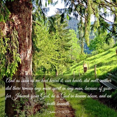 Picture 03 - Joshua 2:11 ASV - And as soon as we had heard it, our hearts did - Bible Verse Picture