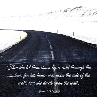 Picture 03 - Joshua 2:15 ASV - Then she let them down by a cord through the - Bible Verse Picture