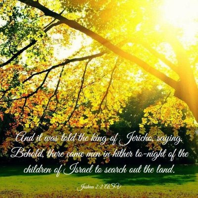 Picture 03 - Joshua 2:2 ASV - And it was told the king of Jericho, saying, - Bible Verse Picture