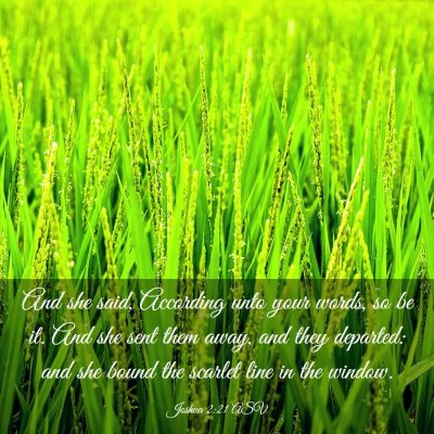 Picture 03 - Joshua 2:21 ASV - And she said, According unto your words, so be - Bible Verse Picture