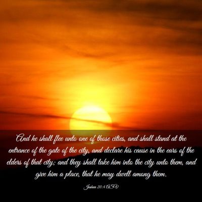 Picture 03 - Joshua 20:4 ASV - And he shall flee unto one of those cities, and - Bible Verse Picture