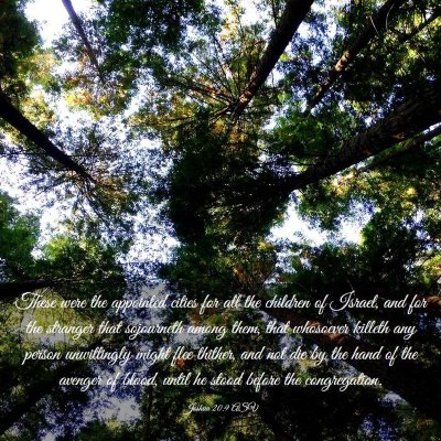 Picture 03 - Joshua 20:9 ASV - These were the appointed cities for all the - Bible Verse Picture