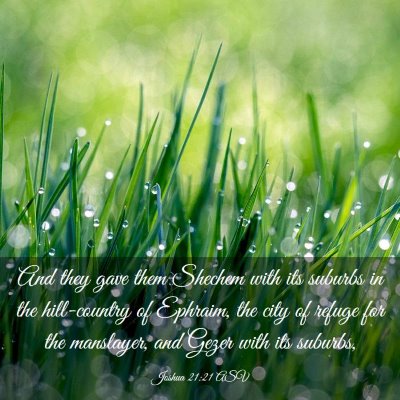 Picture 03 - Joshua 21:21 ASV - And they gave them Shechem with its suburbs in - Bible Verse Picture