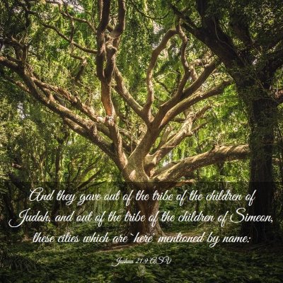 Picture 03 - Joshua 21:9 ASV - And they gave out of the tribe of the children of - Bible Verse Picture