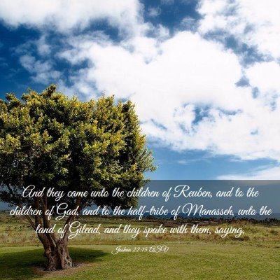 Picture 03 - Joshua 22:15 ASV - And they came unto the children of Reuben, and to - Bible Verse Picture