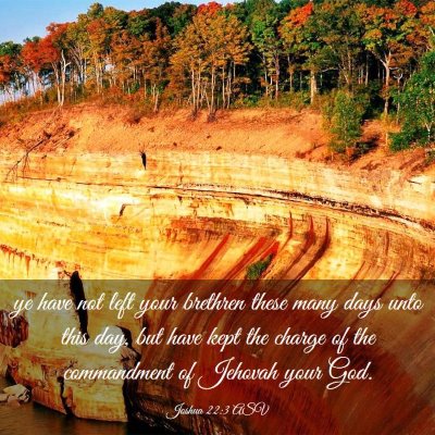 Picture 03 - Joshua 22:3 ASV - ye have not left your brethren these many days - Bible Verse Picture