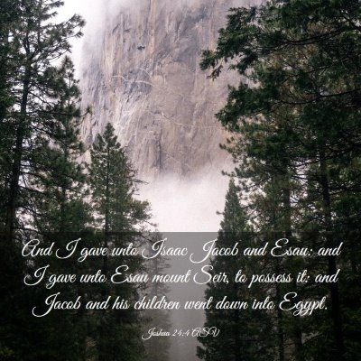 Picture 03 - Joshua 24:4 ASV - And I gave unto Isaac Jacob and Esau: and I gave - Bible Verse Picture