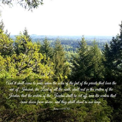 Picture 03 - Joshua 3:13 ASV - And it shall come to pass, when the soles of the - Bible Verse Picture