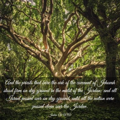 Picture 03 - Joshua 3:17 ASV - And the priests that bare the ark of the covenant - Bible Verse Picture