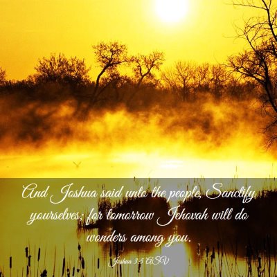 Picture 03 - Joshua 3:5 ASV - And Joshua said unto the people, Sanctify - Bible Verse Picture
