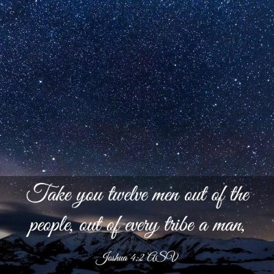Picture 03 - Joshua 4:2 ASV - Take you twelve men out of the people, out of - Bible Verse Picture