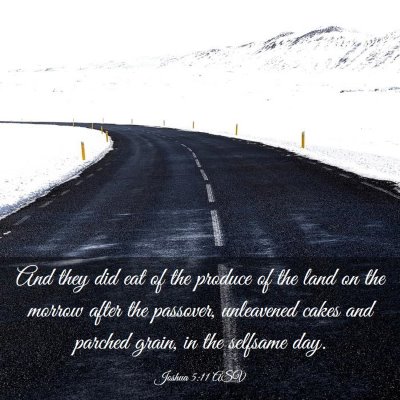 Picture 03 - Joshua 5:11 ASV - And they did eat of the produce of the land on - Bible Verse Picture