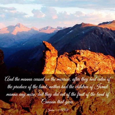 Picture 03 - Joshua 5:12 ASV - And the manna ceased on the morrow, after they - Bible Verse Picture