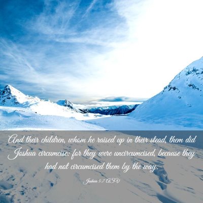 Picture 03 - Joshua 5:7 ASV - And their children, whom he raised up in their - Bible Verse Picture