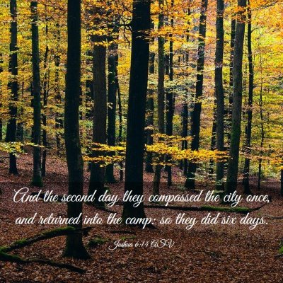Picture 03 - Joshua 6:14 ASV - And the second day they compassed the city once, - Bible Verse Picture