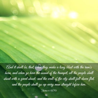 Picture 03 - Joshua 6:5 ASV - And it shall be, that, when they make a long - Bible Verse Picture