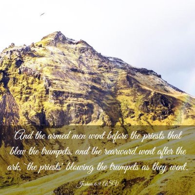 Picture 03 - Joshua 6:9 ASV - And the armed men went before the priests that - Bible Verse Picture