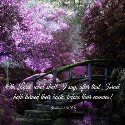 Picture 03 - Joshua 7:8 ASV - Oh, Lord, what shall I say, after that Israel - Bible Verse Picture