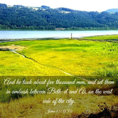 Picture 03 - Joshua 8:12 ASV - And he took about five thousand men, and set them - Bible Verse Picture