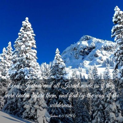 Picture 03 - Joshua 8:15 ASV - And Joshua and all Israel made as if they were - Bible Verse Picture