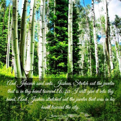 Picture 03 - Joshua 8:18 ASV - And Jehovah said unto Joshua, Stretch out the - Bible Verse Picture
