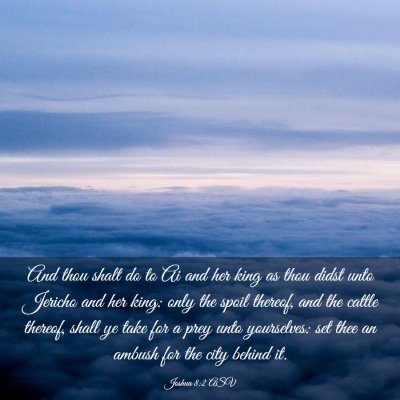 Picture 03 - Joshua 8:2 ASV - And thou shalt do to Ai and her king as thou - Bible Verse Picture