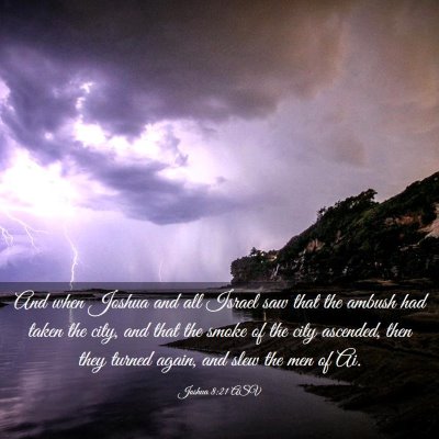 Picture 03 - Joshua 8:21 ASV - And when Joshua and all Israel saw that the - Bible Verse Picture