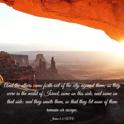 Picture 03 - Joshua 8:22 ASV - And the others came forth out of the city against - Bible Verse Picture