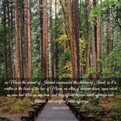 Picture 03 - Joshua 8:31 ASV - as Moses the servant of Jehovah commanded the - Bible Verse Picture