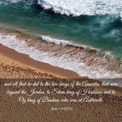 Picture 03 - Joshua 9:10 ASV - and all that he did to the two kings of the - Bible Verse Picture