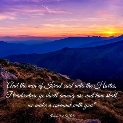 Picture 03 - Joshua 9:7 ASV - And the men of Israel said unto the Hivites, - Bible Verse Picture