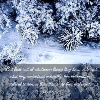 Picture 03 - Jude 1:10 ASV - But these rail at whatsoever things they know - Bible Verse Picture