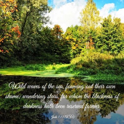 Picture 03 - Jude 1:13 ASV - Wild waves of the sea, foaming out their own - Bible Verse Picture