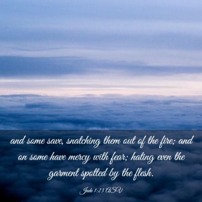 Picture 03 - Jude 1:23 ASV - and some save, snatching them out of the fire; - Bible Verse Picture
