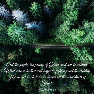 Picture 03 - Judges 10:18 ASV - And the people, the princes of Gilead, said one - Bible Verse Picture