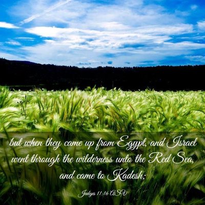 Picture 03 - Judges 11:16 ASV - but when they came up from Egypt, and Israel went - Bible Verse Picture