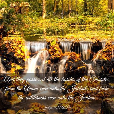 Picture 03 - Judges 11:22 ASV - And they possessed all the border of the - Bible Verse Picture
