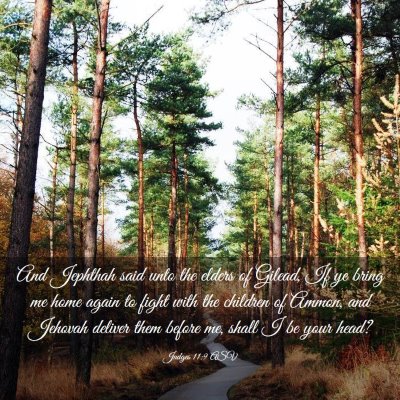 Picture 03 - Judges 11:9 ASV - And Jephthah said unto the elders of Gilead, If - Bible Verse Picture