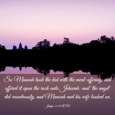 Picture 03 - Judges 13:19 ASV - So Manoah took the kid with the meal-offering, - Bible Verse Picture