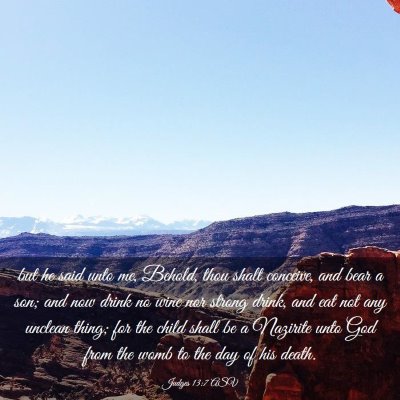 Picture 03 - Judges 13:7 ASV - but he said unto me, Behold, thou shalt conceive, - Bible Verse Picture