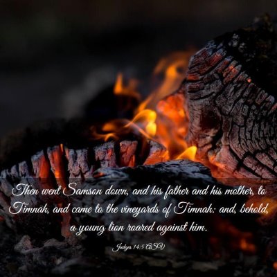 Picture 03 - Judges 14:5 ASV - Then went Samson down, and his father and his - Bible Verse Picture