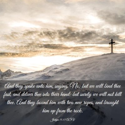 Picture 03 - Judges 15:13 ASV - And they spake unto him, saying, No; but we will - Bible Verse Picture