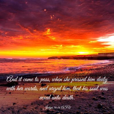Picture 03 - Judges 16:16 ASV - And it came to pass, when she pressed him daily - Bible Verse Picture