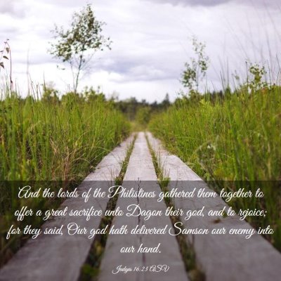 Picture 03 - Judges 16:23 ASV - And the lords of the Philistines gathered them - Bible Verse Picture