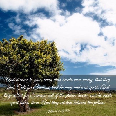 Picture 03 - Judges 16:25 ASV - And it came to pass, when their hearts were - Bible Verse Picture