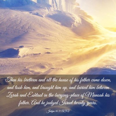 Picture 03 - Judges 16:31 ASV - Then his brethren and all the house of his father - Bible Verse Picture