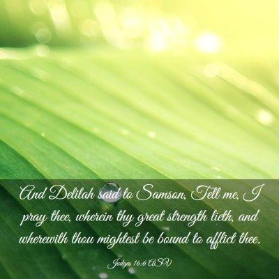 Picture 03 - Judges 16:6 ASV - And Delilah said to Samson, Tell me, I pray thee, - Bible Verse Picture